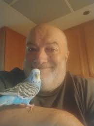 Here's my baby. His name is Poe! Happy Pet's Day!