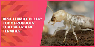 It doesn't kill termites on contact. Best Termite Killer Top 5 Products That Get Rid Of Termites Termite Survey