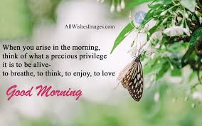 Good morning images quotes wallpapers for whatsapp top 100. 30 Good Morning Quotes In English For Whatsapp 2020 Gm Images With Quotes