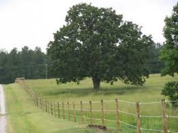 Residential and general contractors now need state licensing to work.didn't need to be licensed. Horse Fence Installers In Blairsville Georgia Union County