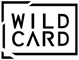 This enables higher ranking hands to be made more often, which for some players makes the game more exciting. Wild Card Applications Open Eit Health