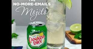 The No More Emails Mojito Recipe Canada Dry 2 Oz Light Rum 3 Oz Rosie S Mojito Mix 3 Oz Ginger Ale Fun Drink Recipe Ginger Ale Cocktail Recipe Using Ginger