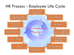 Payroll Process Payroll Process In Hr Ppt