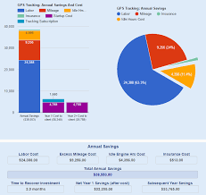 Roi Chart Sageplan Technology Consulting