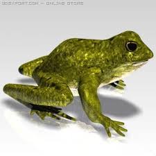 3d Model Crazy Frog C4d Obj 3ds Fbx Ma Lwo 25065 Frog 3d Model Animals