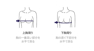 DOROSIWA、賢いチョイス!