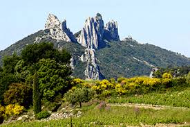 Robert bailly, dictionnaire des communes du vaucluse, éd. Le Risque D Incendie De Foret Vaucluse