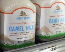 Smooth, silky, ancient camel milk differs from regular dairy milk in several beneficial ways, and can aid in they include special properties inherent to the insulin in camel milk, which make absorption into as the list of the benefits of camel milk grows longer, so do the number of grocers carrying it. Camel Milk Benefits Are Exaggerated But Show Promise Superfoodly