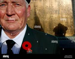 Remembrance poppy ireland hi-res stock photography and images