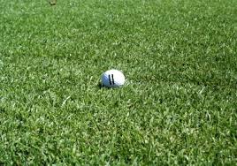 Zoysia grass is a form of sod that combines broad texture with high density to form a durable, easily maintained layer of grass. Zoysia Grass
