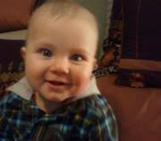 Animals Christopher Columbus Saw: An Adventure in the New World by Sandra  Markle