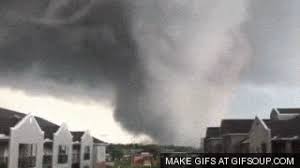 With tenor, maker of gif keyboard, add popular tornadoes animated gifs to your conversations. Best Tornado Gifs Primo Gif Latest Animated Gifs