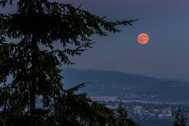 La luna llena en escorpio del 26 de abril de 2021 nos lleva a desarrollar un costado más intuitivo y espiritual para procesar y combatir emociones fuertes. Luna Llena Superluna Rosa 2021 Por Que Llamamos Asi Esta Luna Como Y Donde Verla Sociedad W Radio Mexico