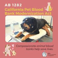 California business and professions code : Assemblymember Bloom And Senator Wilk Team Up To Introduce Bill That Will Phase Out Closed Colonies For California S Commercial Animal Blood Industry Social Compassion In Legislation