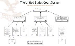 Image Result For Full Diagram Of The Supreme Court Of The