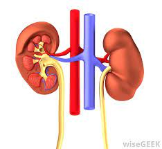 This is rare and tends to develop among endurance athletes and soldiers. Can Drinking Too Much Water Be Unhealthy Or Even Dangerous