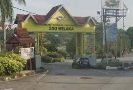 Jsme plošně druhá největší zoo v česku. Zoo Melaka Harga Tiket Masuk Night Safari Melaka Diskaun