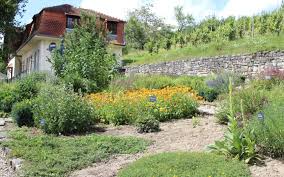 Weitere parks und gärten in der nähe sind ebenfalls eingezeichnet. Freiwilliges Okologisches Jahr Beim Saarpfalz Kreis