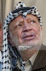 294 Tody Stock Photos, High-Res Pictures, and Images