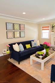Photos Hgtv Neutral Transitional Living Room With Navy Gothic Bedroom Furniture Ideas Weird Romantic Skull Large Luxurious Style Modern Medieval Apppie Org