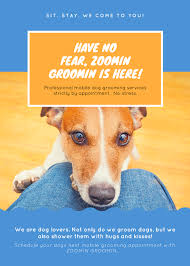 We are professional groomers with years of experience, ready at your doorstep in our little blue. Mobile Pet Grooming Services For Home Zoomin Groomin 855 825 Pets Best Mobile Pet Grooming By Zoomin Groomin Eco Friendly Pet Grooming Service