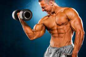 The information in this article. Ultimate Guide To The Keto Diet With Sample Meal Plan Muscle Strength