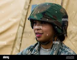 Squadron personnel check over a Tactical Electronic Warfare Squadron 133  (VAQ 133) EA-6B Prowler aircraft