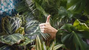 1 bis 25 von 44 adressen zu garten center in berlin mit telefonnummer, öffnungszeiten und bewertung gefunden. 10 Gute Gartencenter In Berlin Qiez