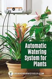 Pin On Indoor Gardening