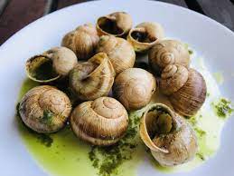 You should be able to see a small piece of meat inside the shell. Escargot Eating Snails In France Yes It Is Amazing Snippets Of Paris
