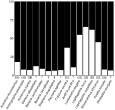 Image result for Crabbea velutina
