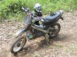 Third will take the bike all the way up to its terminal velocity of about 60 mph—assuming the rider bends forward to cheat the wind. Honda Nova Dash Supercup Production Prepared Ride Asia Motorcycle Forums