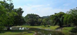 I know tmn dr sincw 1989. Children S Activities