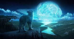 Check spelling or type a new query. Beautiful Wolves Wallpapers Top Free Beautiful Wolves Backgrounds Wallpaperaccess