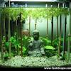 The most common glass betta fish material is glass. 1