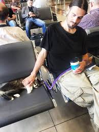 On grand bahama island there are many white sandy beaches and beautiful blue waters; Your Ultimate Guide To Flying Internationally With A Cat Tips Essentials