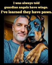 Gasparillo Veterinary Clinic‎