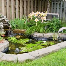 Image result for garden pond ideas