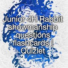 Junior 4h Rabbit Showmanship Questions Showmanship Show Rabbits This Or That Questions