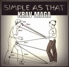 Fitness Training Krav Maga 45 Ideas Learn Krav Maga Self Defense Martial Arts Krav Maga Self Defense