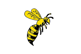 Black And White Wasp With Long Stinger Yellowjacket Wasp Drawing Drawings Bee Sketch Wasp