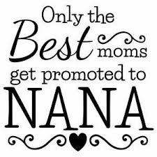Download Free Basketball Nana Svg Files For Cricut Yahoo Image Search Results Nana Quotes Quotes Silhouette Design