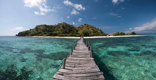 Kanawa Island | Brilliant Snorkel & Quiet Beach | Hello Flores