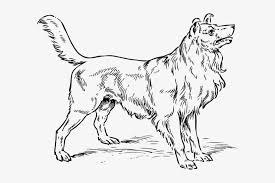 > black and white drawing of the cute sitting dog clipart. Simple Dog Outline Dogs Black And White Drawings Transparent Png 600x467 Free Download On Nicepng