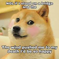 Explore doge meme wallpaper on wallpapersafari | find more items about doge wallpaper hd, doge wallpapers for desktop, doge wallpaper 1920x1080. Amateur Doge Amateurdoge Twitter