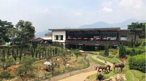 Candi umbul adalah objek wisata yang sangat bersejarah, dan memiliki ciri khas dengan dua kolam renang. Harga Tiket Masuk Candi Umbul Pemandian Air Hangat Di Magelang Tribun Travel
