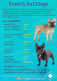 English bulldog breed standard with british bulldog pictures tells you correct bulldog heads, correct bulldog tails & correct english bulldogs colors. French Bulldog Chart French Bulldog Breed French Bulldog Puppies Bulldog Puppies
