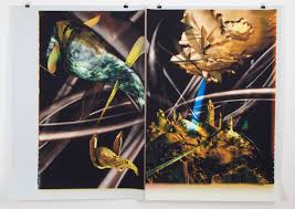 Bildergebnis für Nils Norman