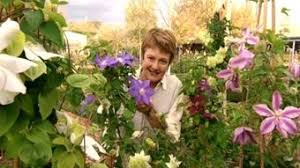 Check spelling or type a new query. Clematis Fact Sheets Gardening Australia Gardening Australia