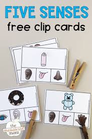Free Five Senses Clip Cards Senses Preschool Five Senses Preschool Preschool Themes